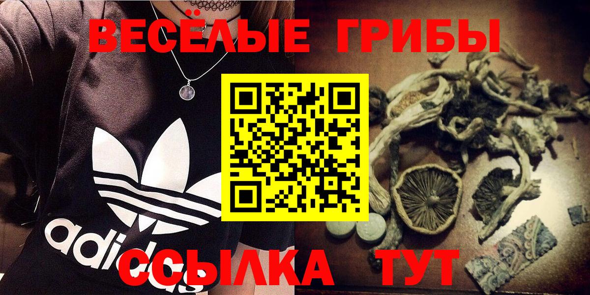 Ливны  наркошоп  Вход с VPN  Галлюциногенные грибы MAGIC MUSHROOMS 